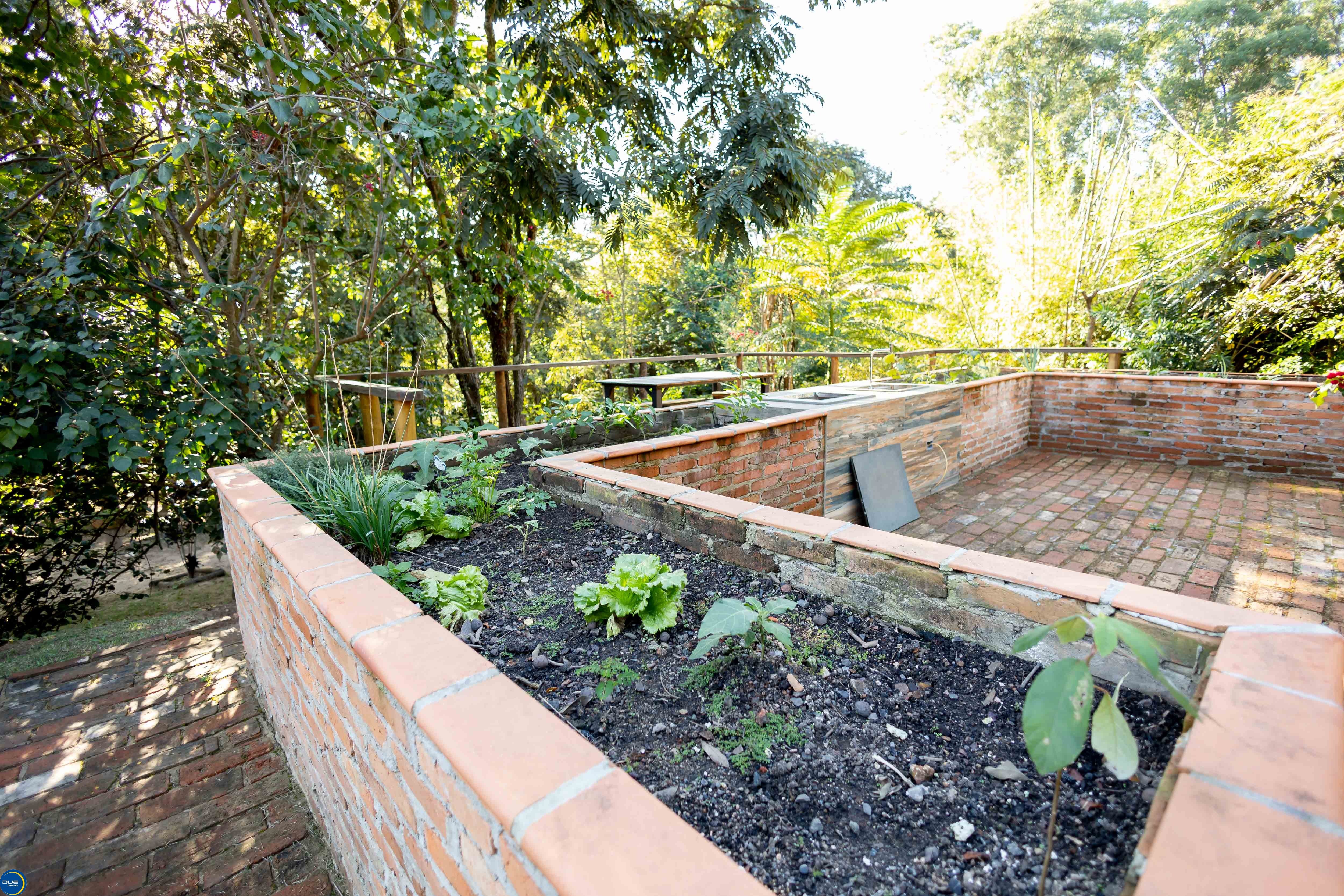 Fazenda à venda e aluguel com 3 quartos, 400m² - Foto 15