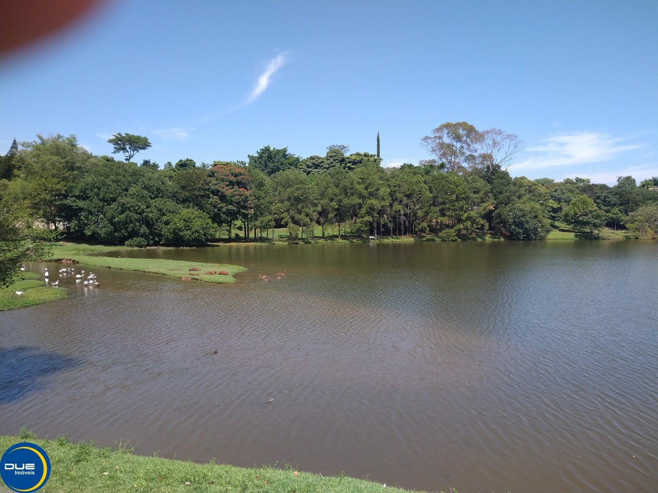 Fazenda à venda com 4 quartos - Foto 1