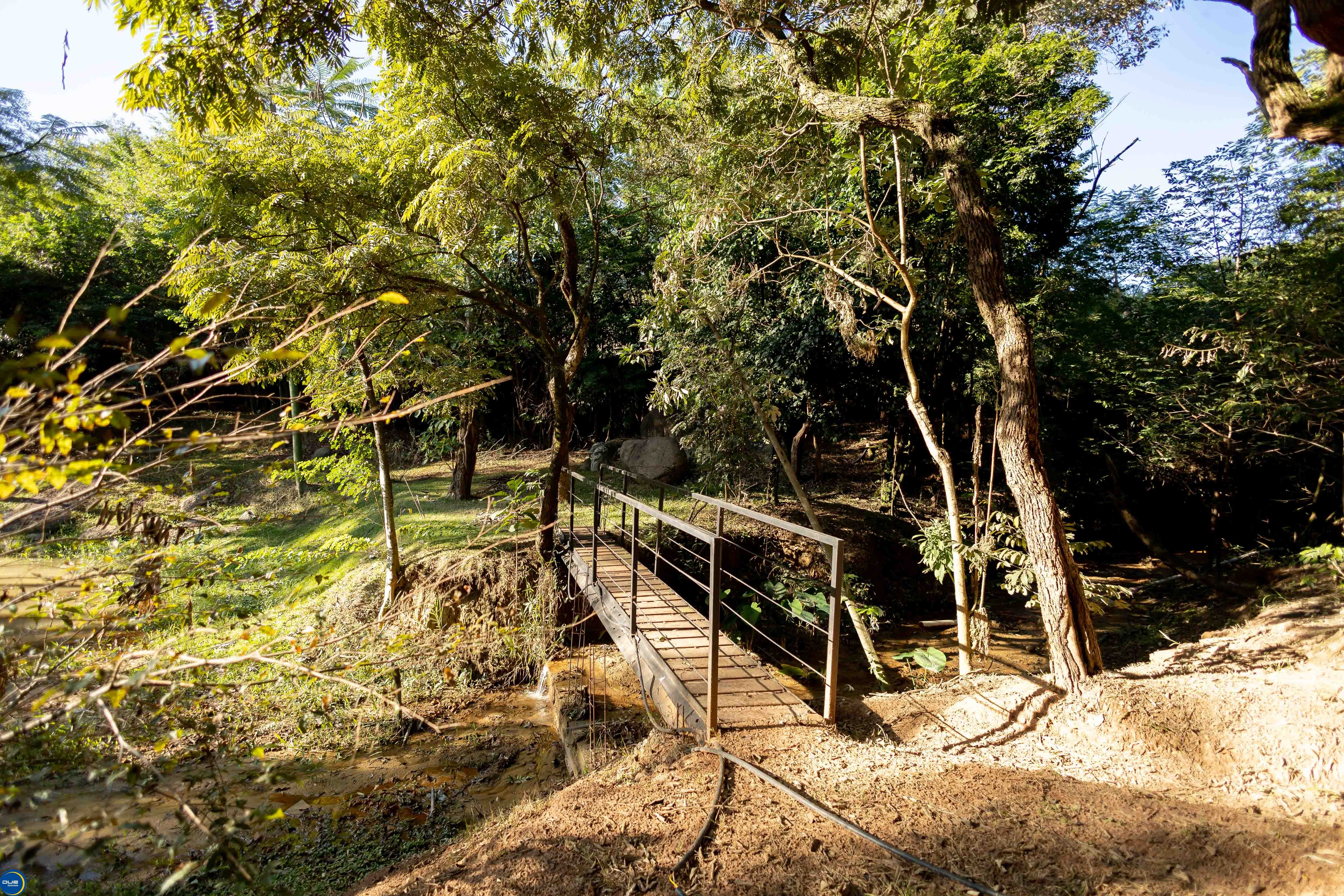 Fazenda à venda e aluguel com 3 quartos, 400m² - Foto 22