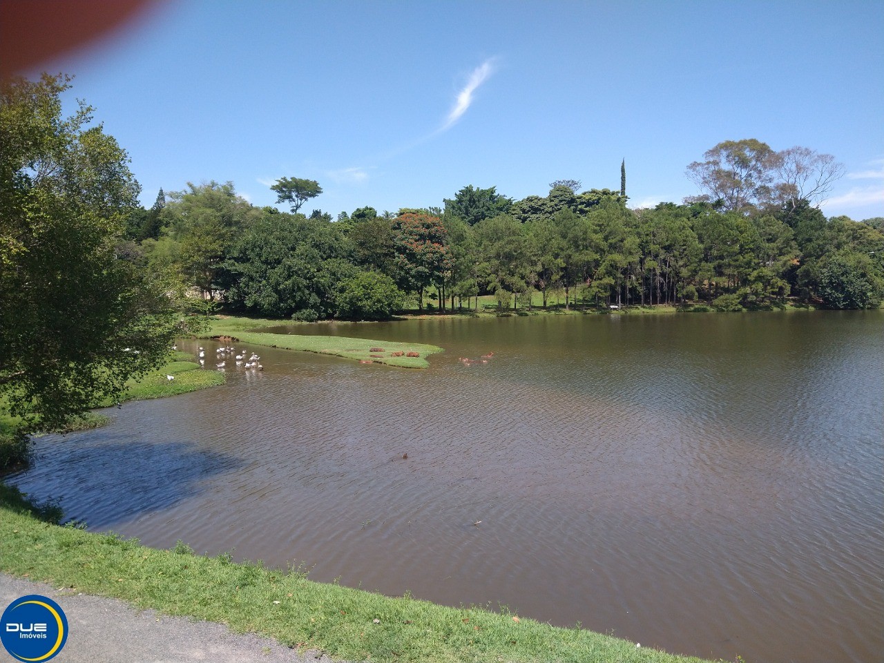 Fazenda à venda com 4 quartos - Foto 8