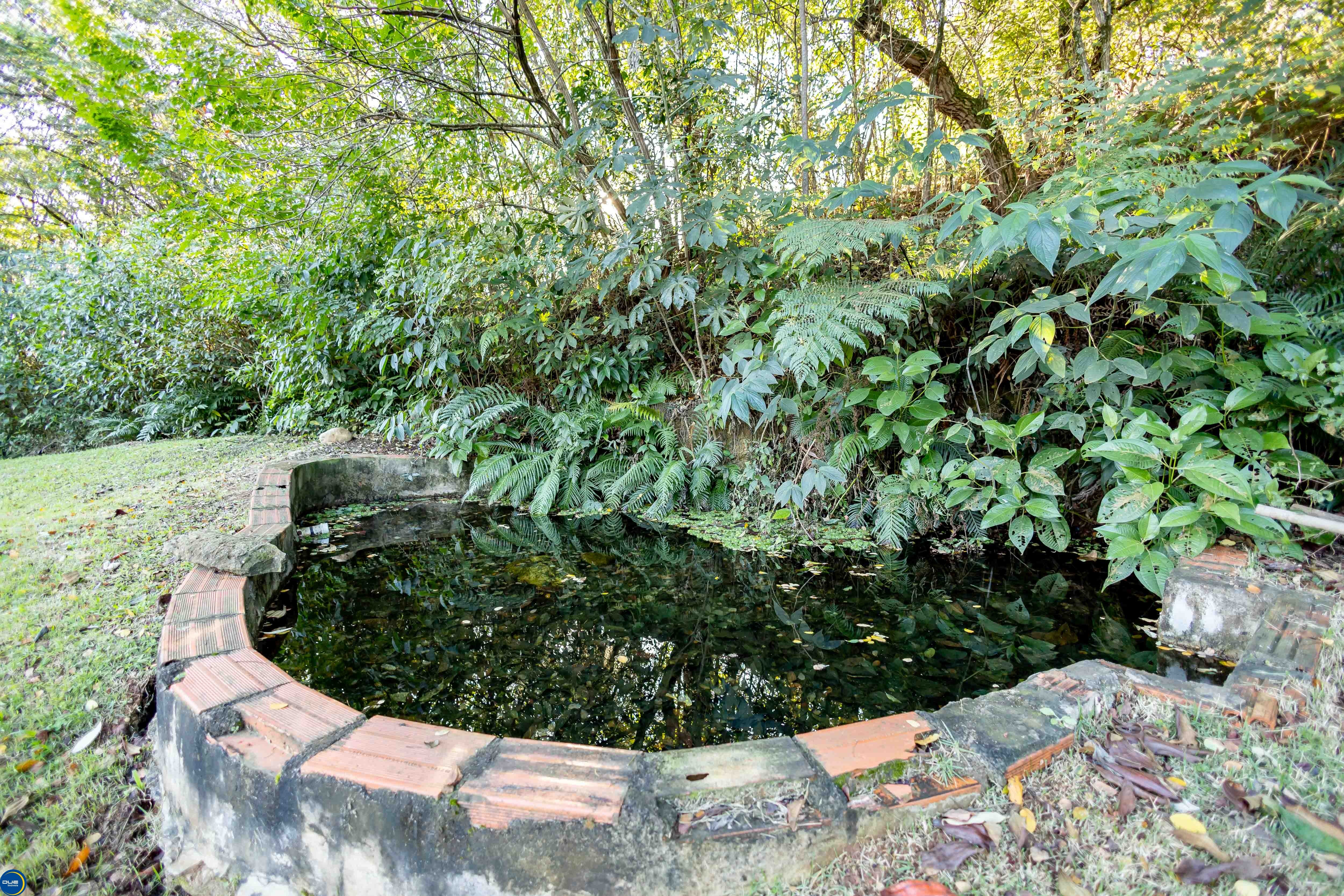 Fazenda à venda e aluguel com 3 quartos, 400m² - Foto 27