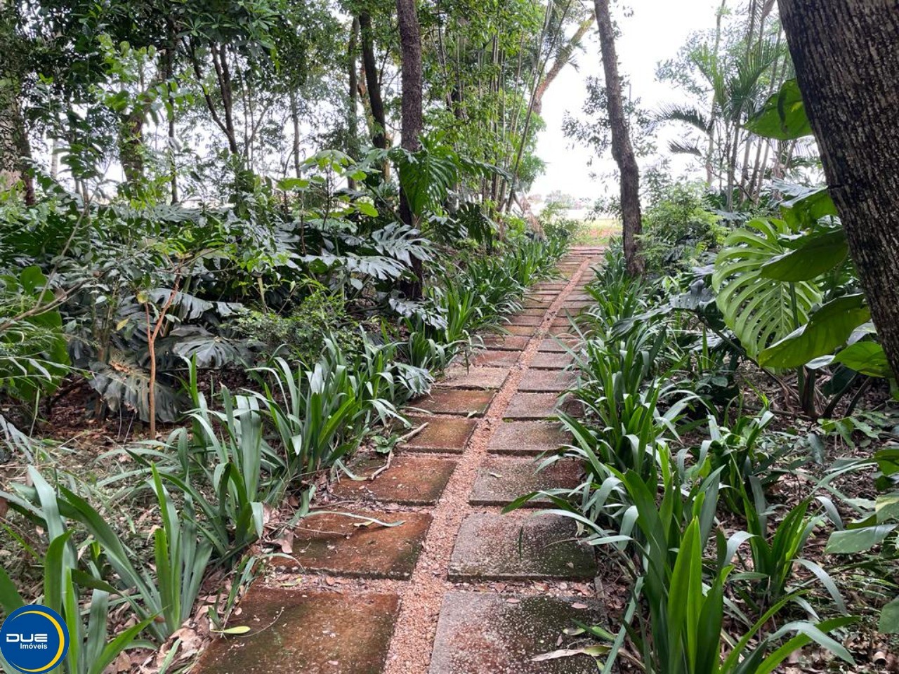 Terreno à venda, 330m² - Foto 50