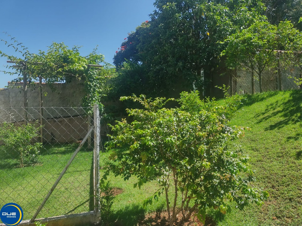 Fazenda à venda com 4 quartos, 2500m² - Foto 17