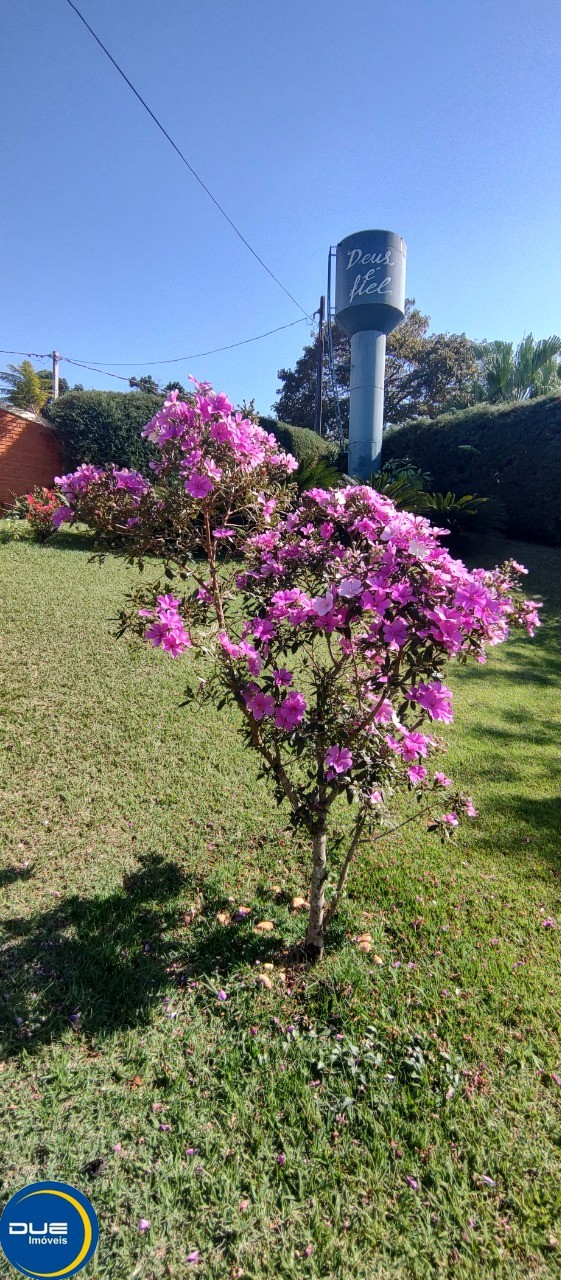 Fazenda à venda com 3 quartos - Foto 12