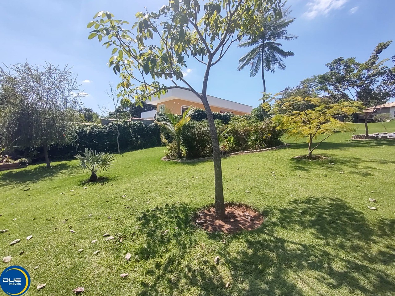 Fazenda à venda com 4 quartos, 2500m² - Foto 4