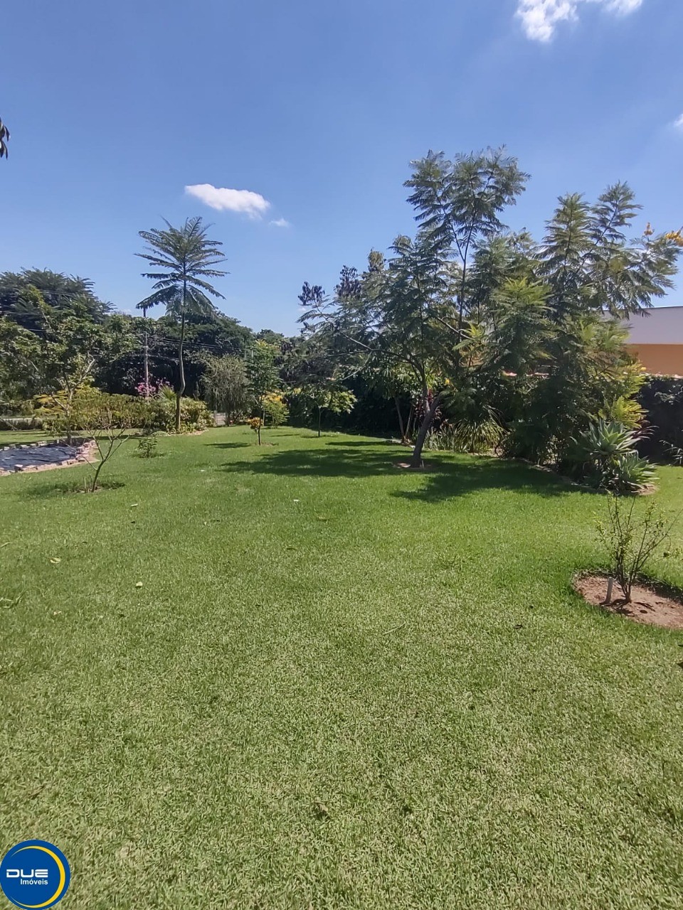 Fazenda à venda com 4 quartos, 2500m² - Foto 10