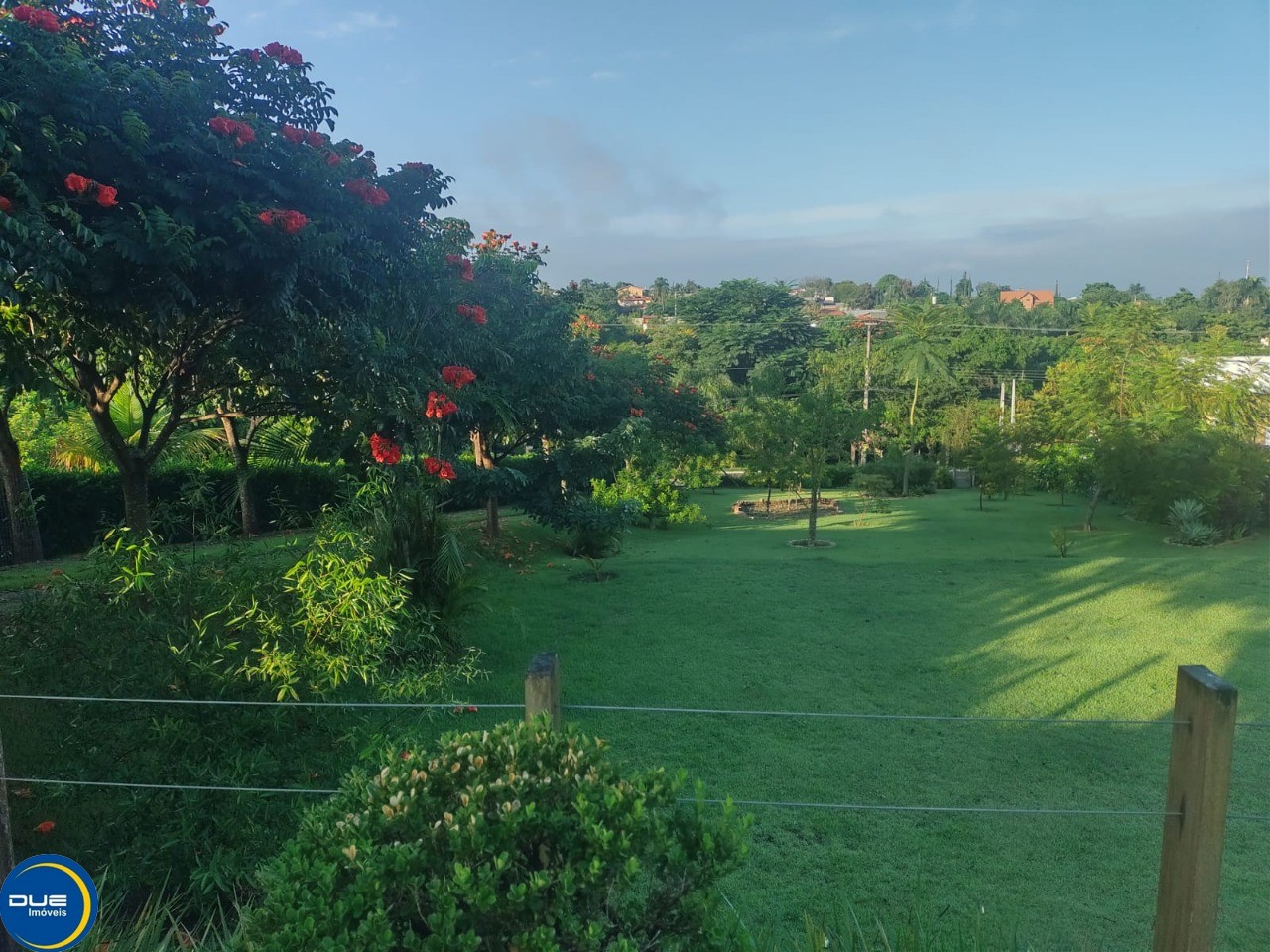 Fazenda à venda com 4 quartos, 2500m² - Foto 11