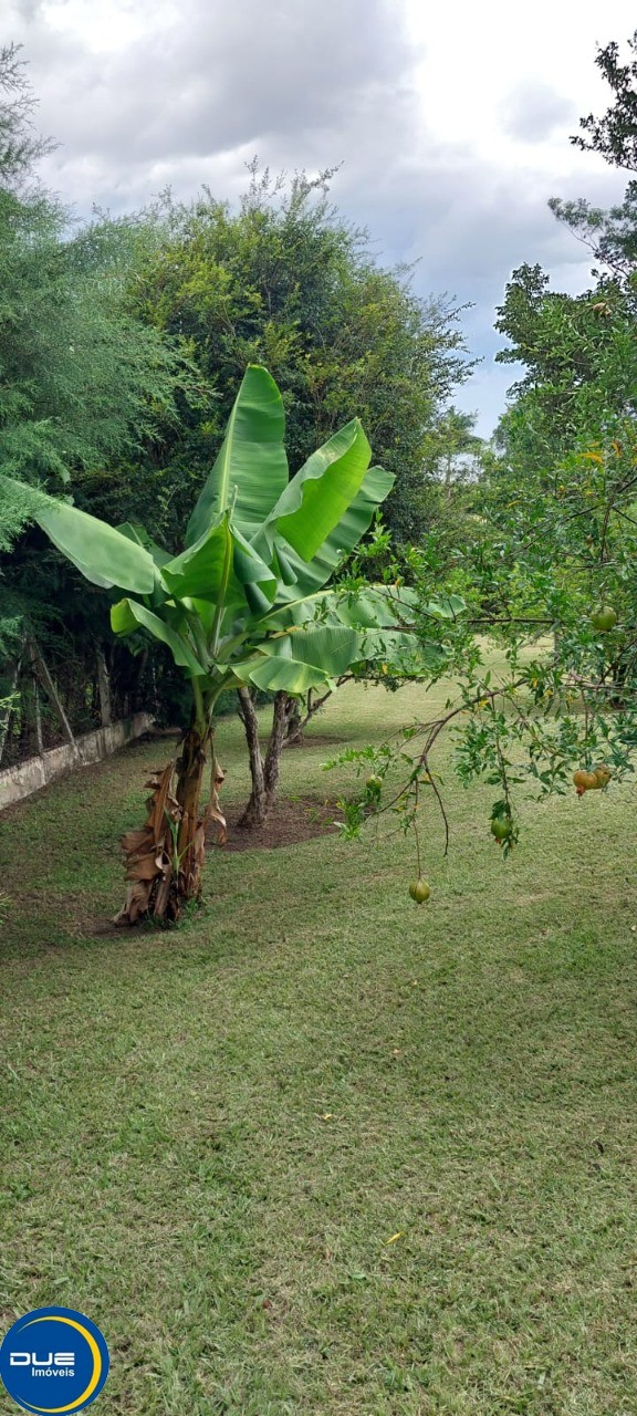 Fazenda à venda com 2 quartos, 164m² - Foto 23