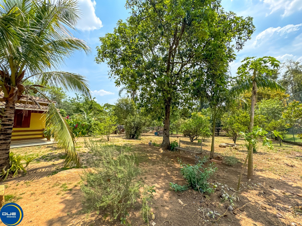 Fazenda à venda com 6 quartos - Foto 5