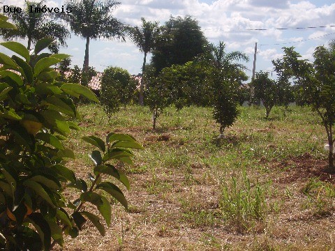 Terreno, 2 hectares - Foto 2