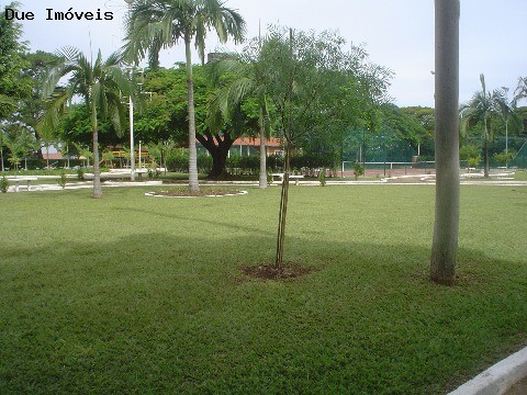 Terreno à venda, 5000m² - Foto 3