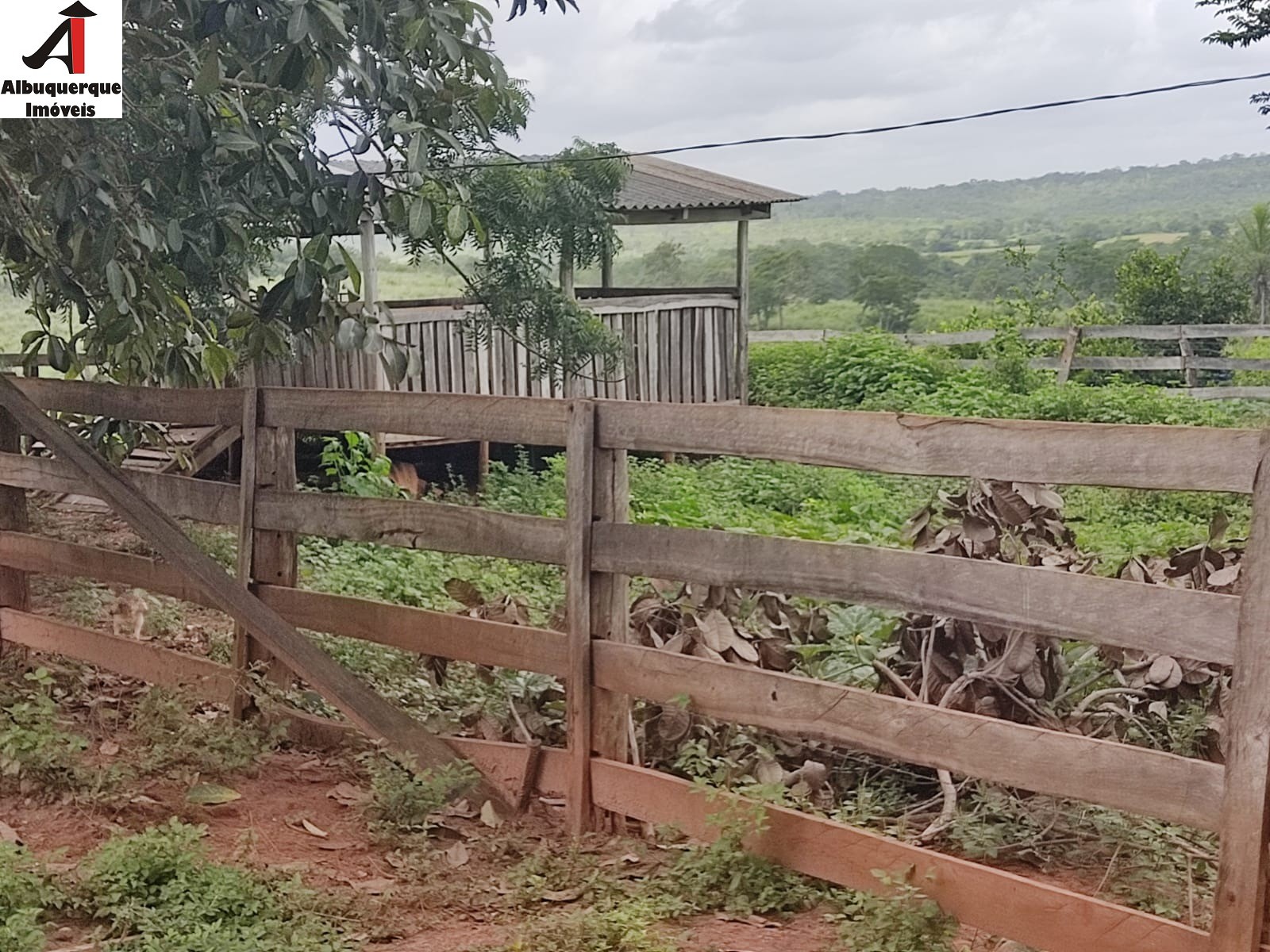 Fazenda à venda com 1 quarto, 250000000m² - Foto 19