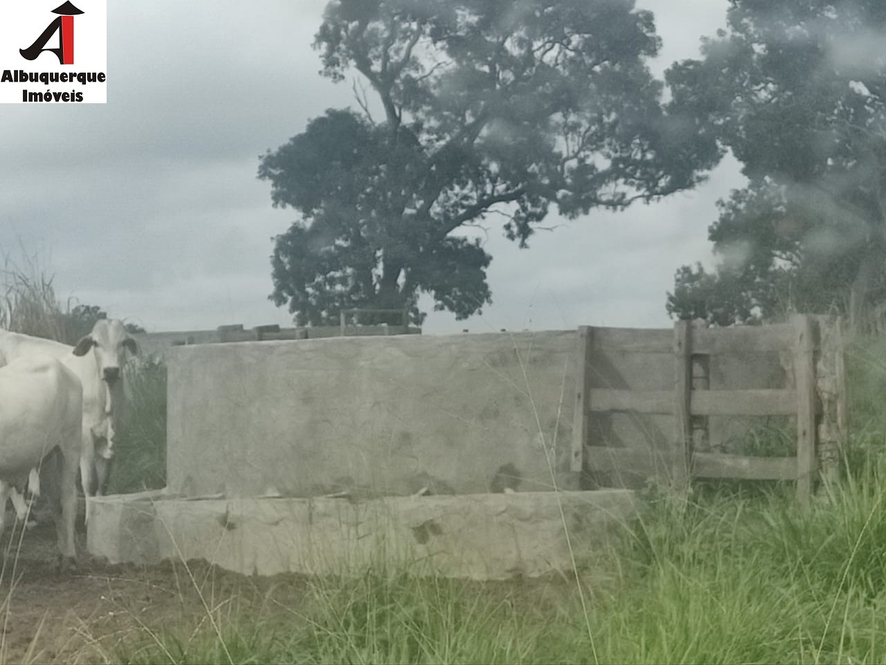 Fazenda à venda com 1 quarto, 250000000m² - Foto 17