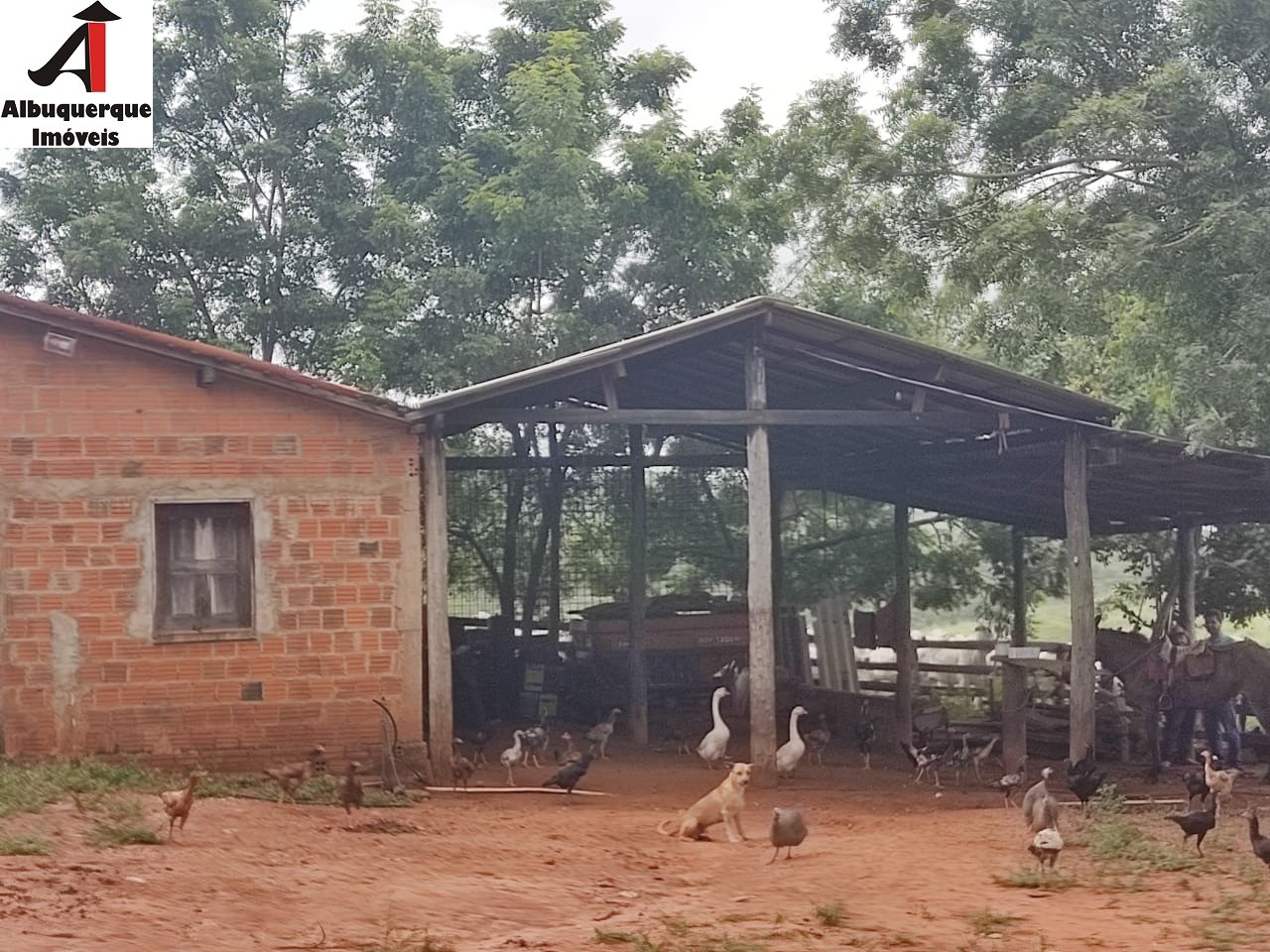 Fazenda à venda com 1 quarto, 250000000m² - Foto 11