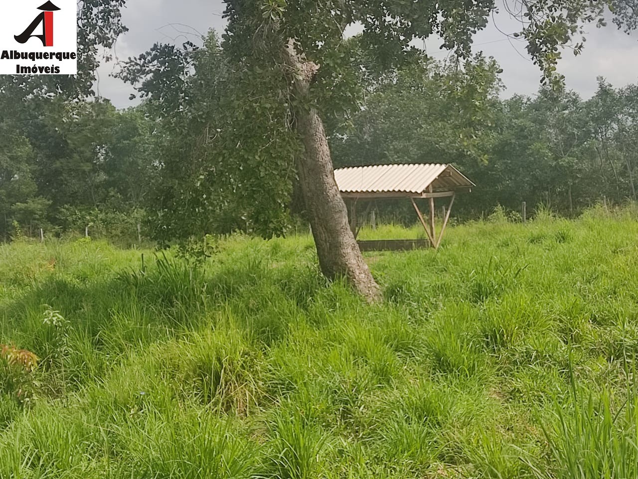 Fazenda à venda com 1 quarto, 250000000m² - Foto 14