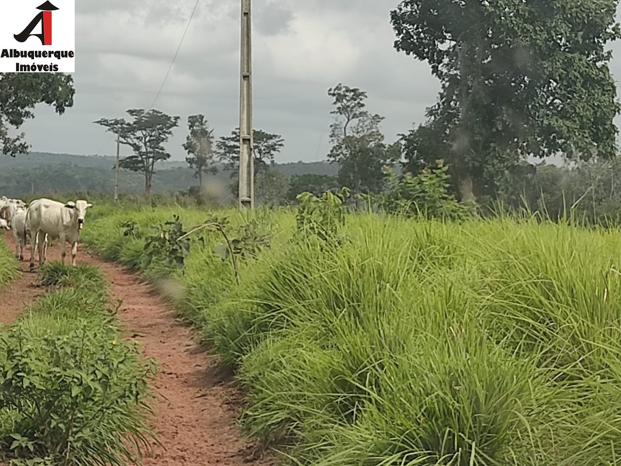 Fazenda à venda com 1 quarto, 250000000m² - Foto 13