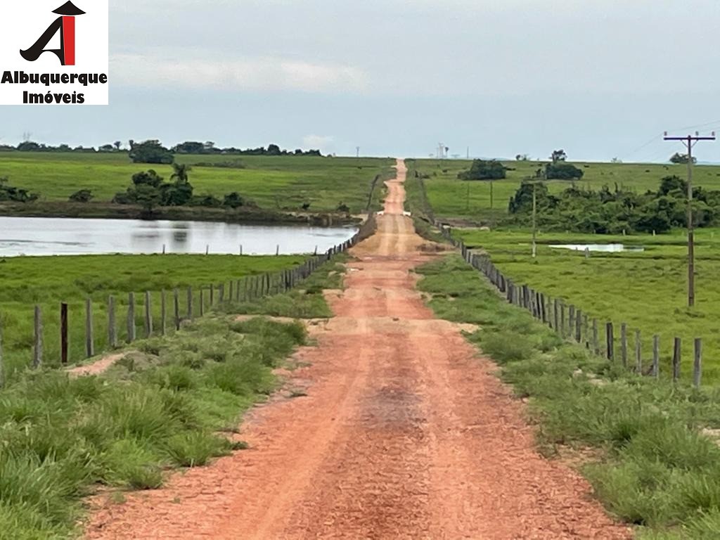 Fazenda à venda - Foto 9