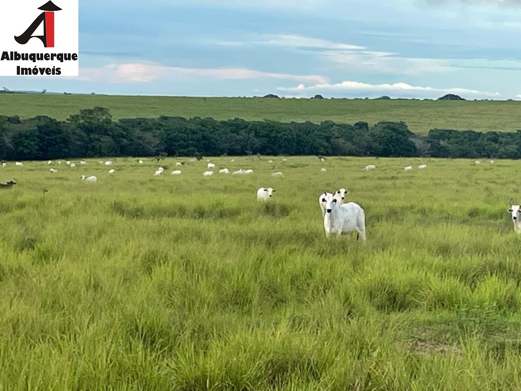 Fazenda à venda - Foto 20