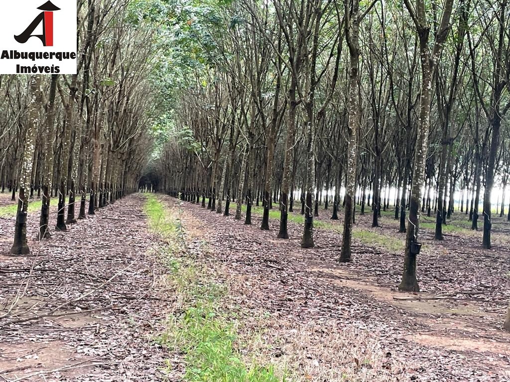 Fazenda à venda - Foto 18