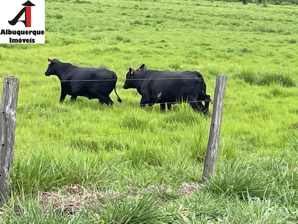 Fazenda à venda - Foto 2