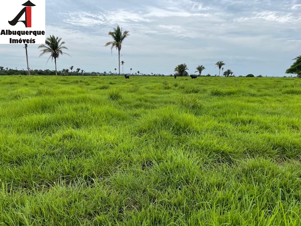 Fazenda à venda - Foto 7