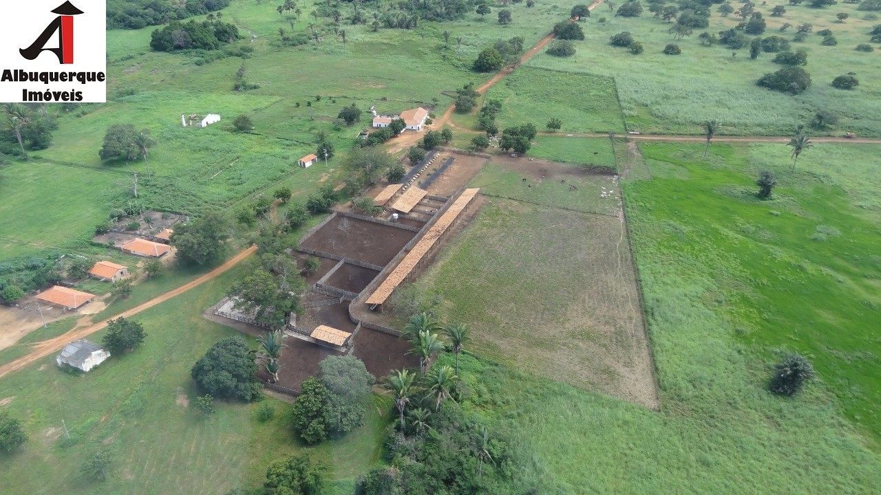 Fazenda à venda - Foto 6