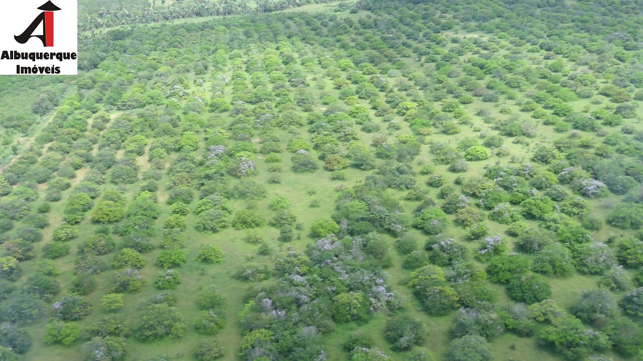 Fazenda à venda - Foto 8