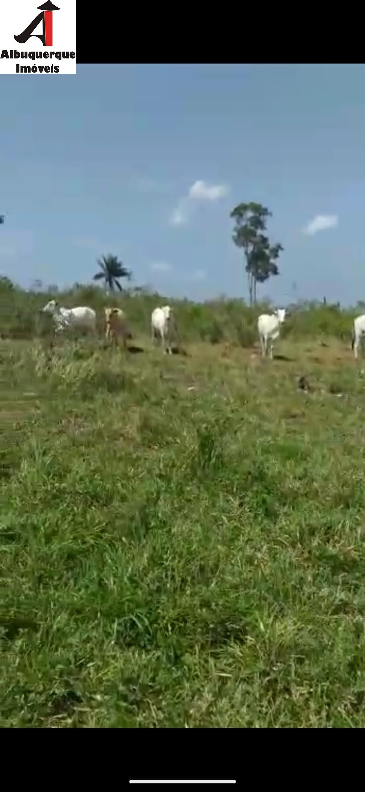 Fazenda à venda, 1748m² - Foto 17