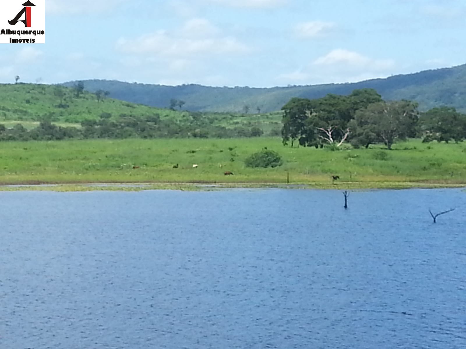 Fazenda à venda - Foto 19