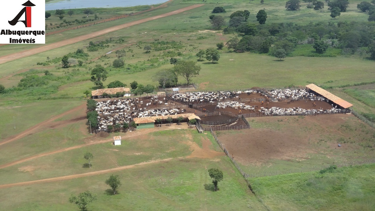 Fazenda à venda - Foto 14