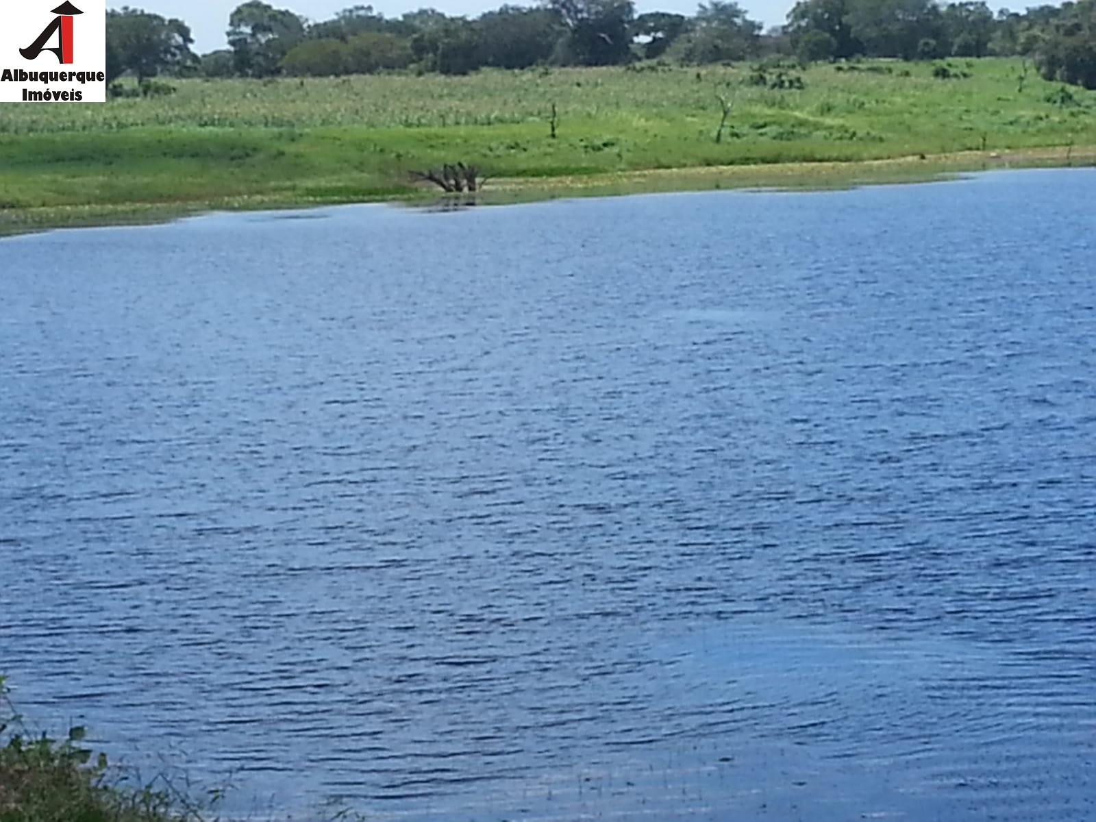 Fazenda à venda - Foto 18