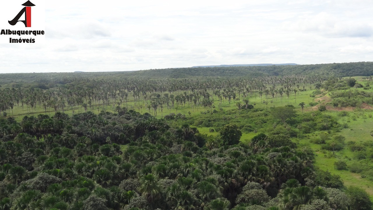 Fazenda à venda - Foto 12