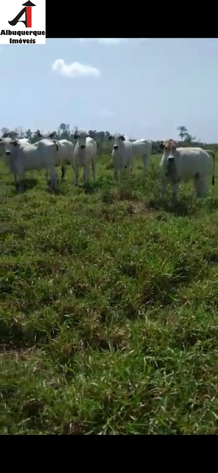 Fazenda à venda, 1748m² - Foto 15