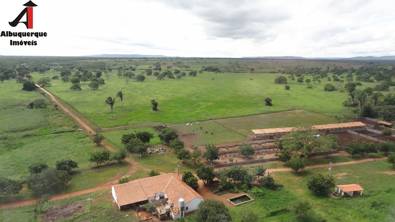 Fazenda à venda - Foto 7