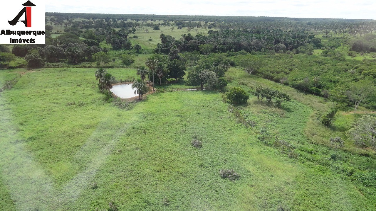 Fazenda à venda - Foto 9