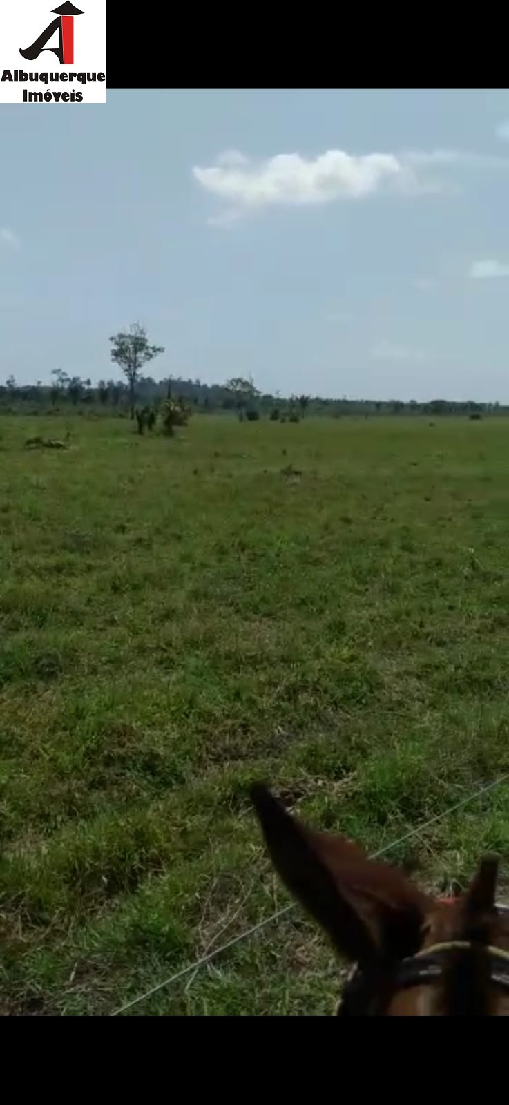 Fazenda à venda, 1748m² - Foto 14