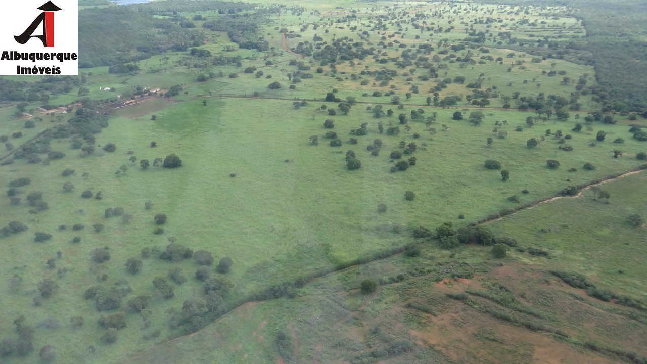 Fazenda à venda - Foto 4