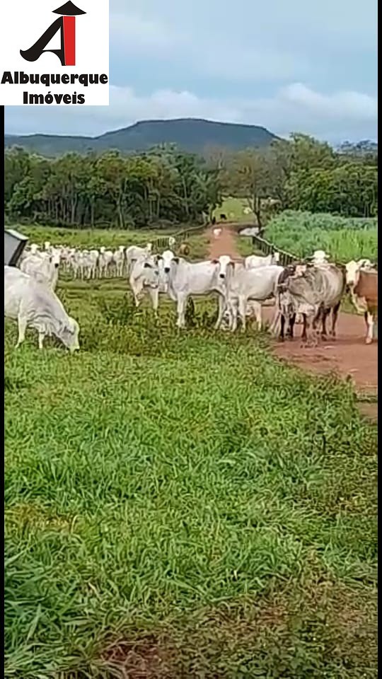 Fazenda à venda, 4100m² - Foto 3