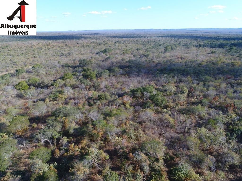 Fazenda à venda, 4100m² - Foto 1