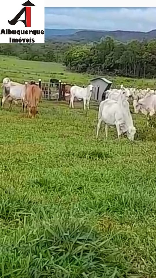 Fazenda à venda, 4100m² - Foto 4