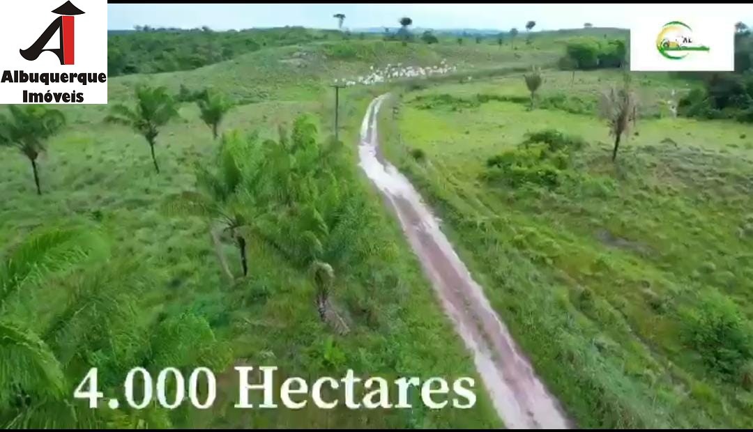 Fazenda à venda, 4000m² - Foto 8