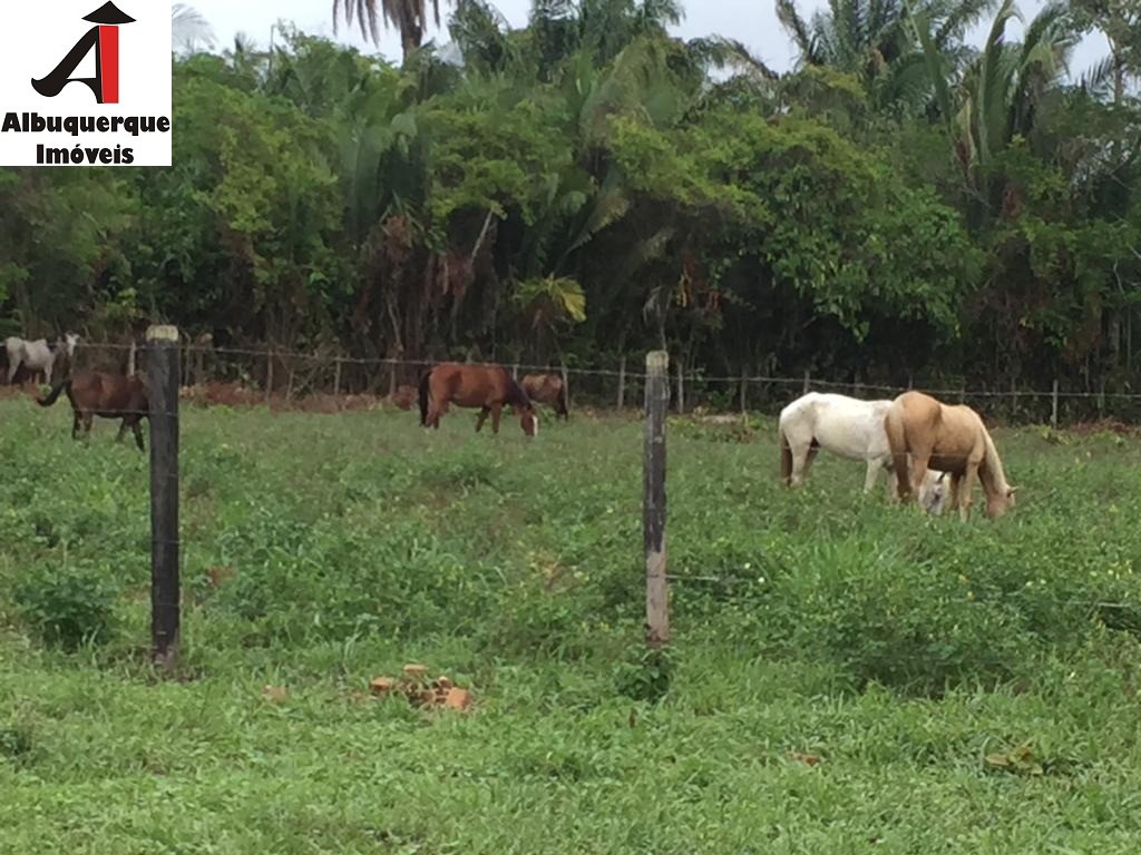 Fazenda à venda, 863m² - Foto 6