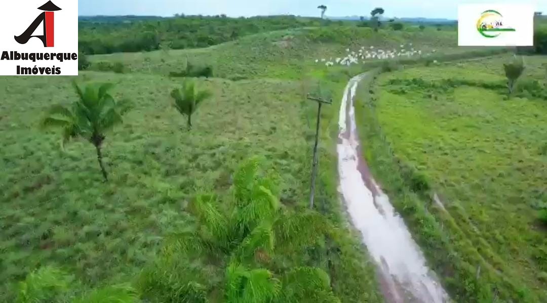 Fazenda à venda, 4000m² - Foto 5