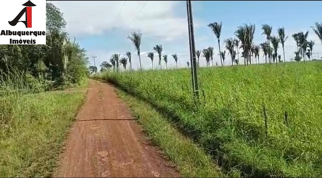 Fazenda-Sítio-Chácara - Foto 4