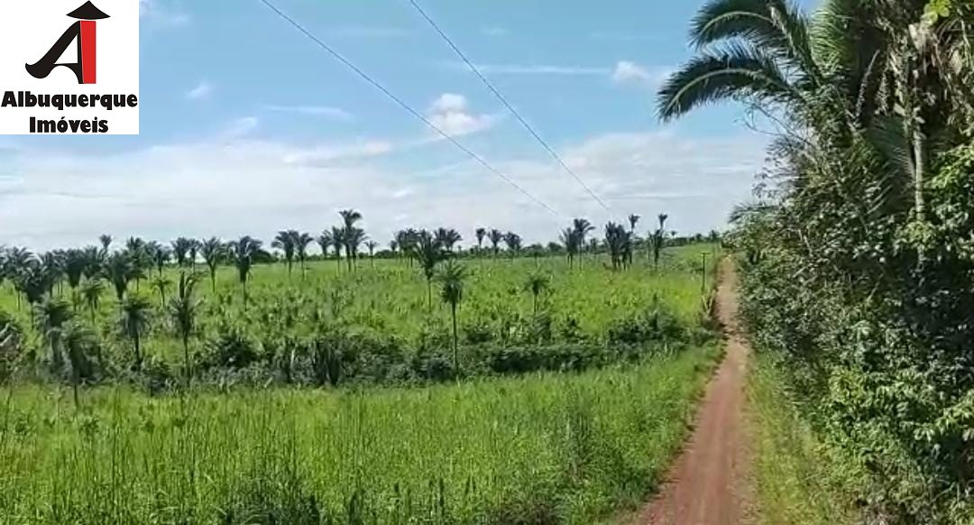 Fazenda à venda - Foto 2