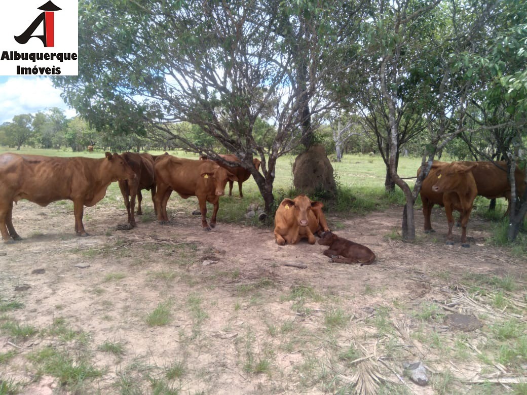 Fazenda à venda, 740m² - Foto 16