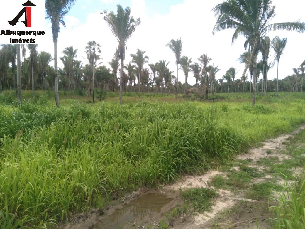 Fazenda à venda, 740m² - Foto 5