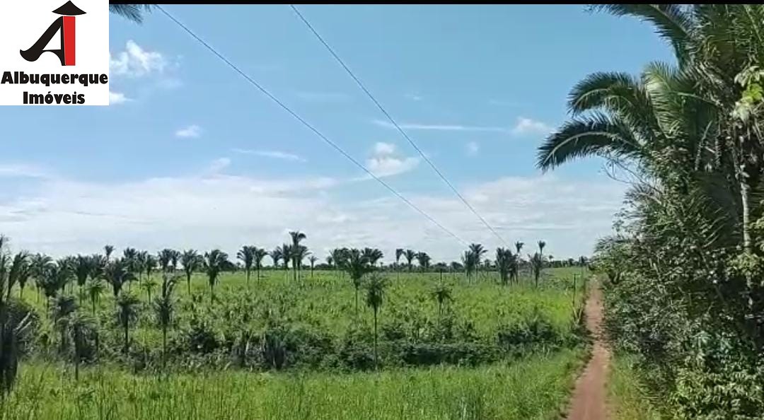 Fazenda à venda - Foto 1