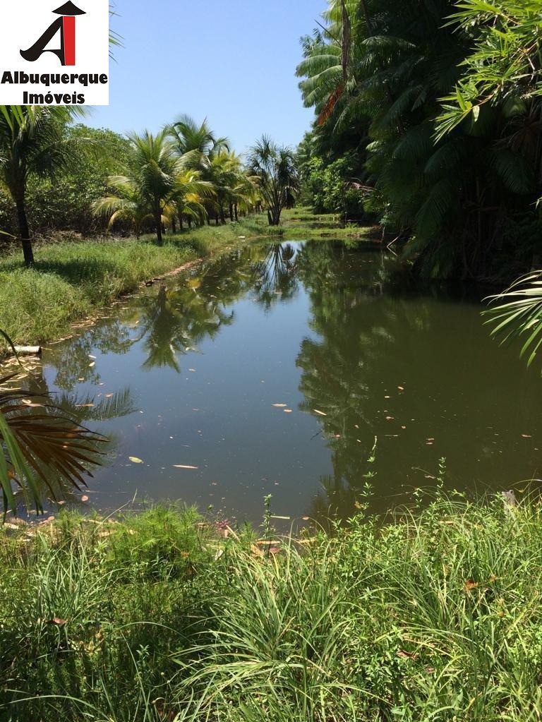 Loteamento e Condomínio à venda, 10000m² - Foto 11