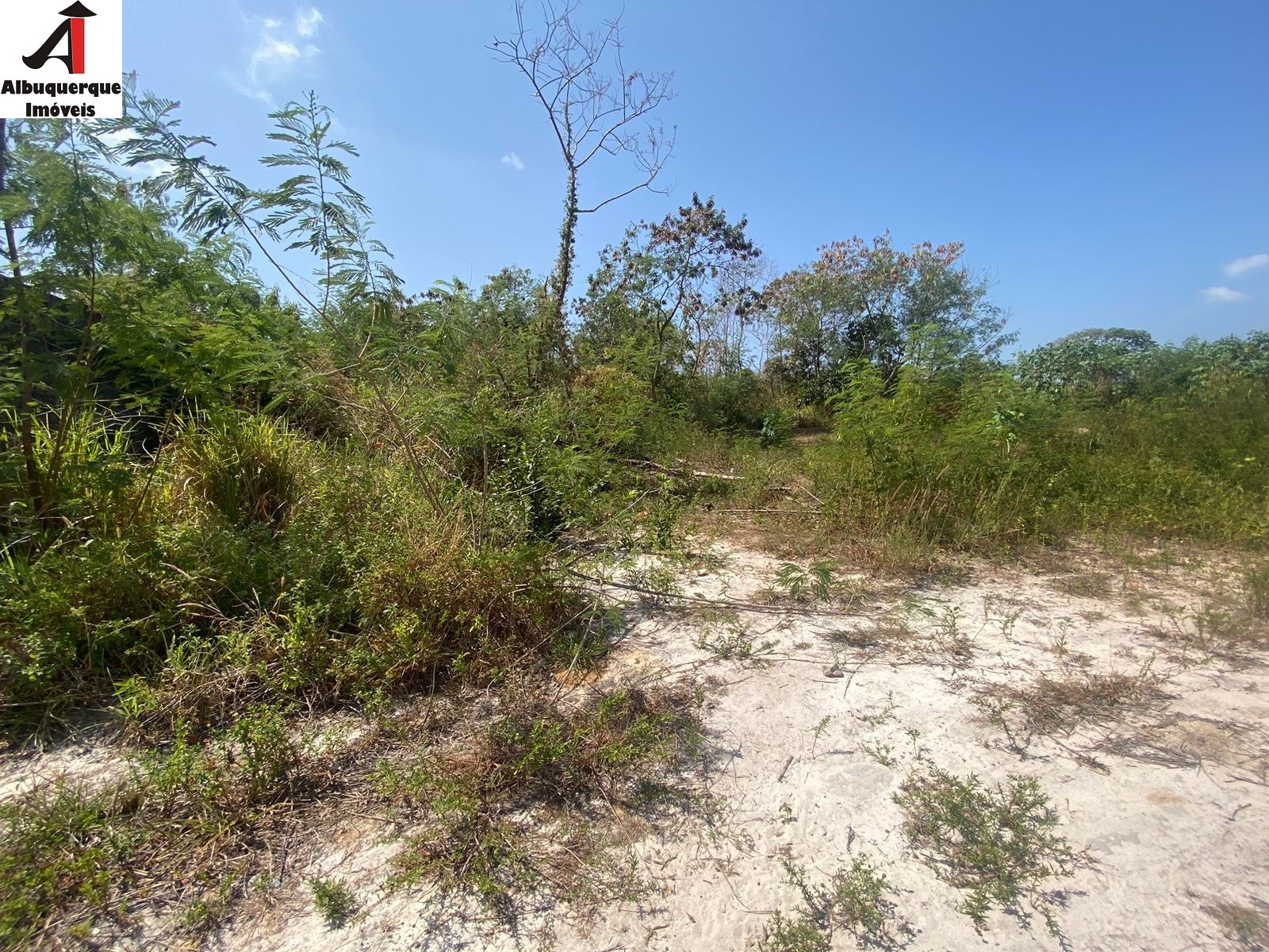 Loteamento e Condomínio à venda, 10000m² - Foto 2